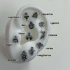 Zodiac piercing set