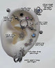 Starlune piercing